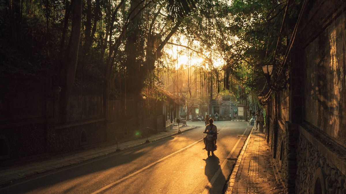 Rute denpasar ke ubud naik mobil
